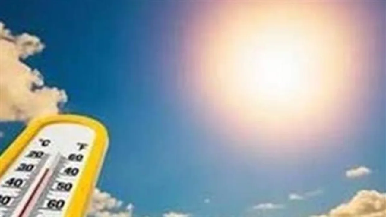 أجواء دافئة نهارًا ومعتدلة ليلًا في جميع المحافظات اليوم السبت